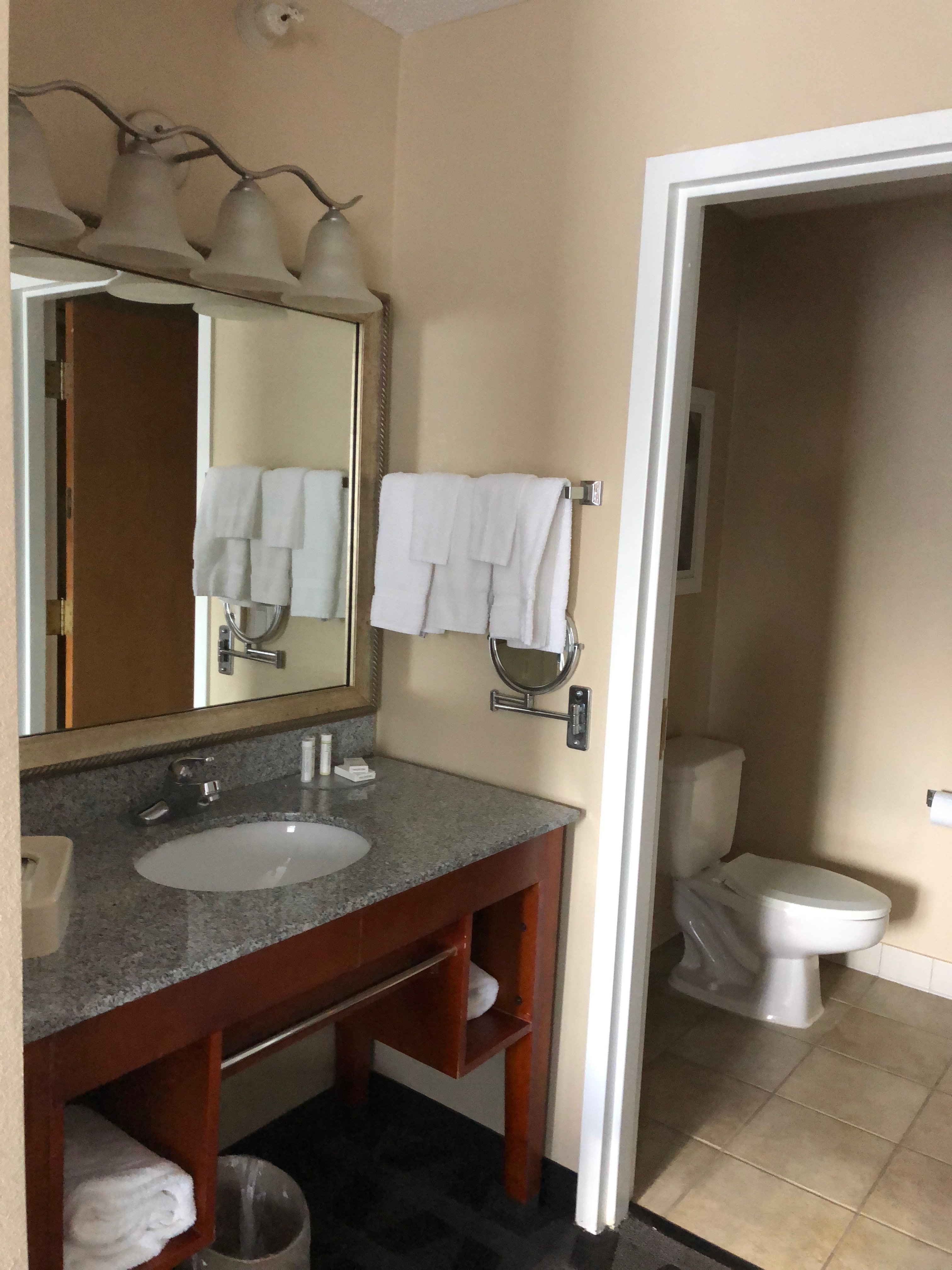 TownePlace Suites Detroit Warren-浴室