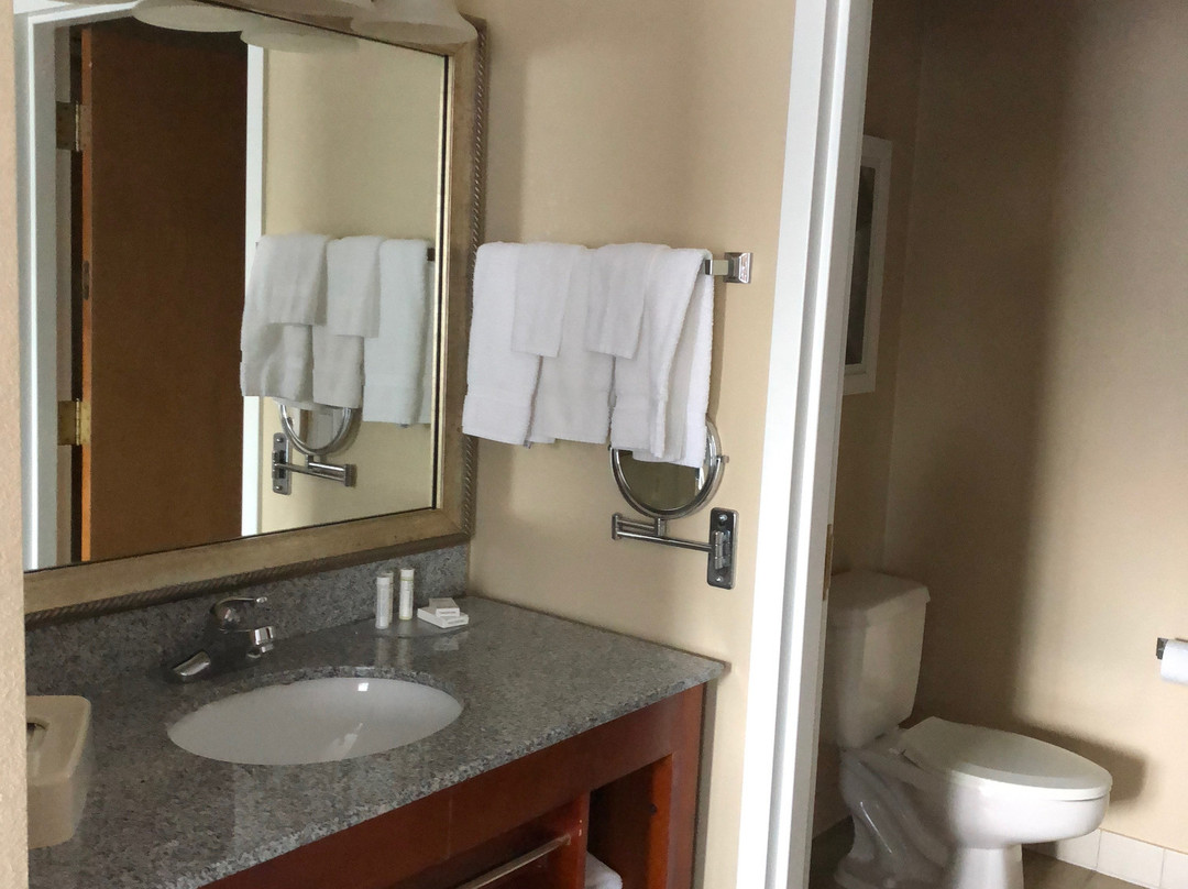 TownePlace Suites Detroit Warren主图