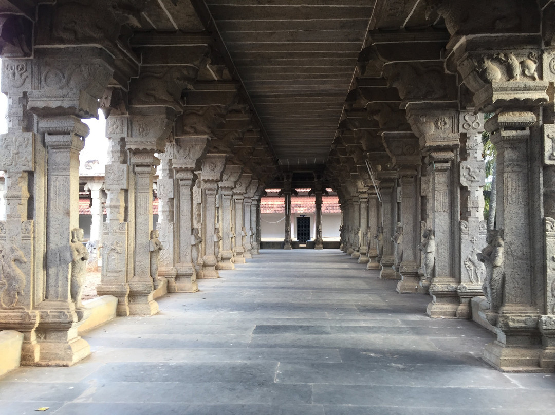Adi Keshava Perumal Temple景点图片