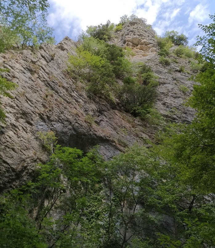 Rio Vitoschio-Apecchio必去景点