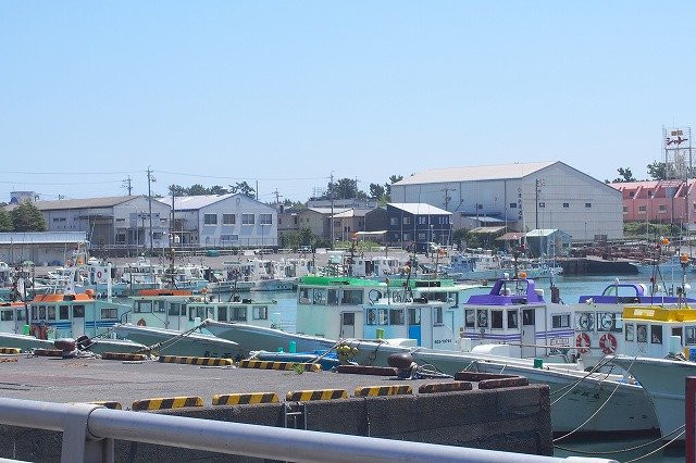 Mochimune Fishing Port-静冈市必去景点