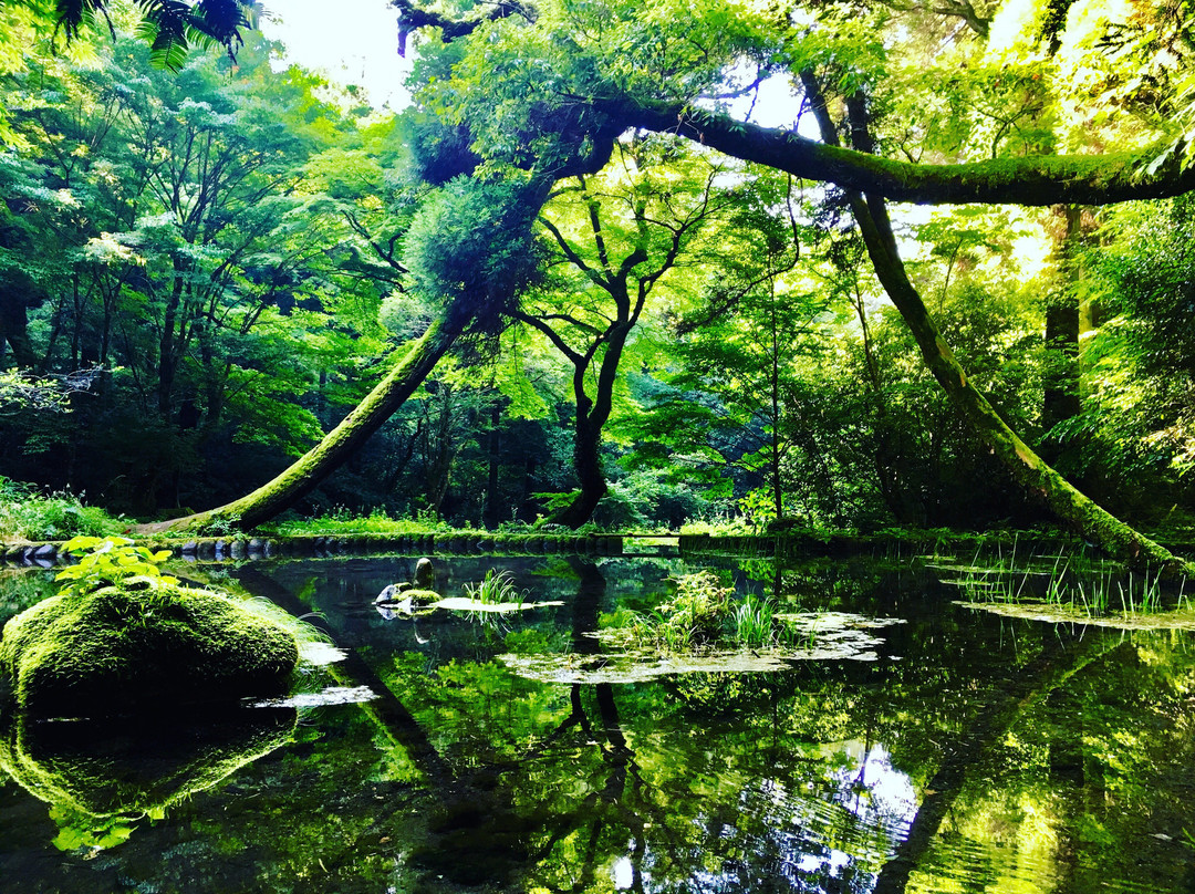 Yamabuki Spring景点图片