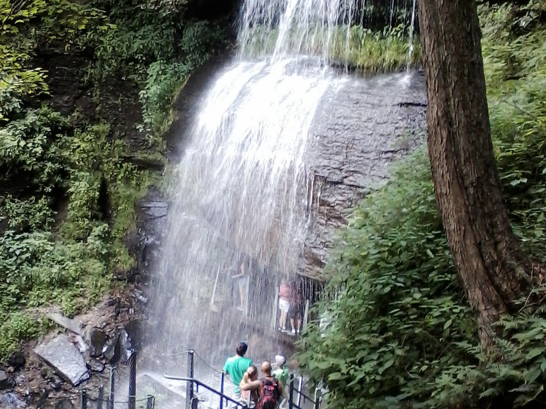 Buttermilk Falls Natural Area景点图片