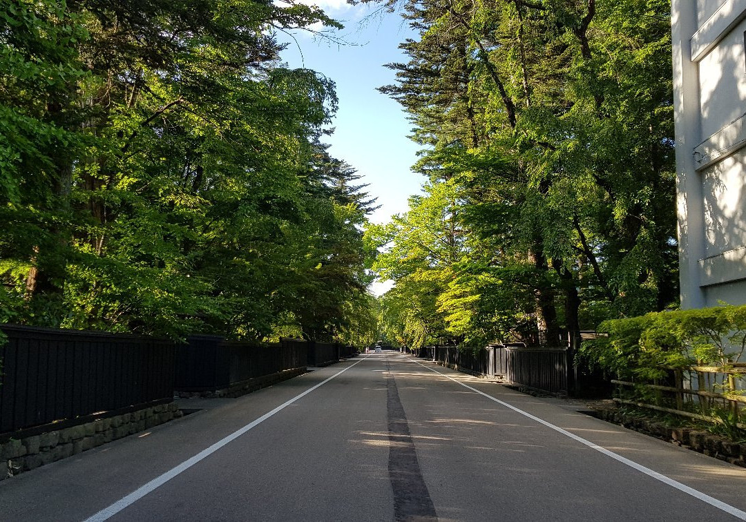 Kakunodate Samurai House Museum景点图片