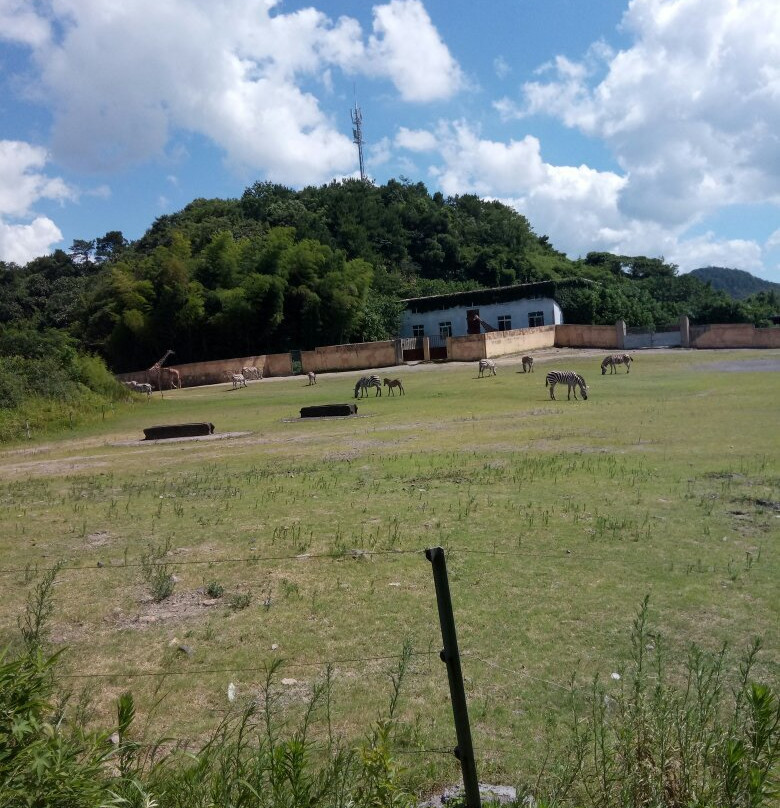 宁波动物园景点图片