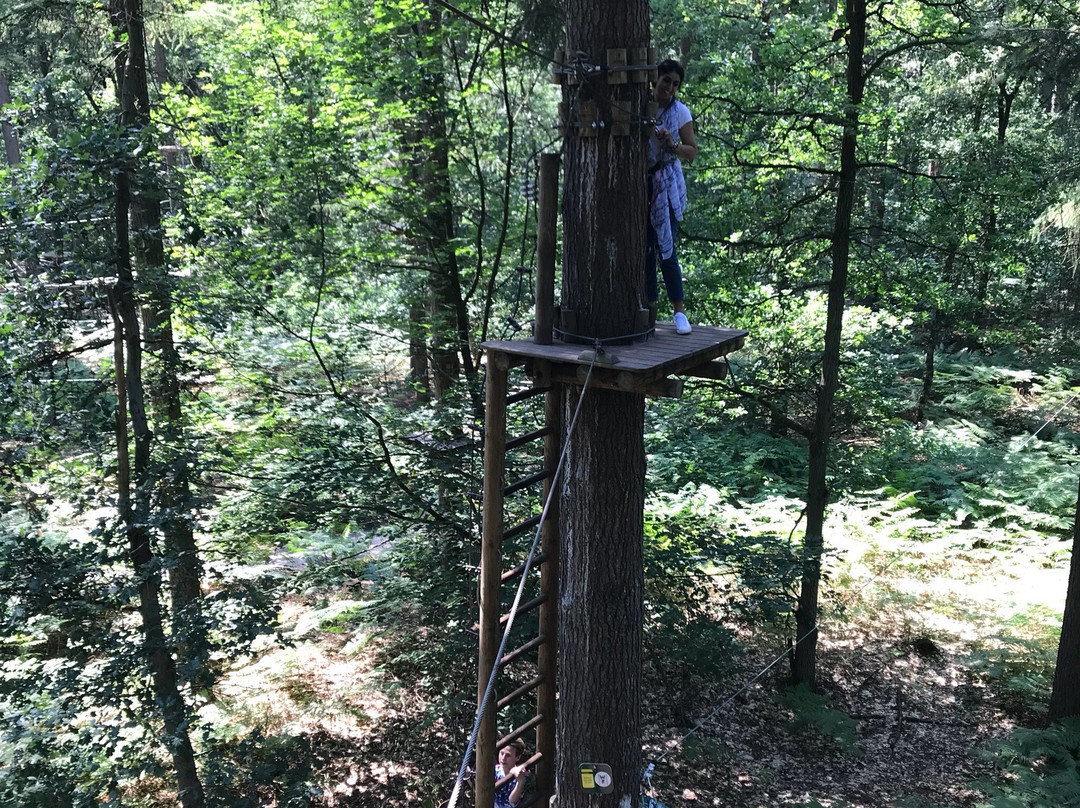 Klimbos Lage Vuursche-Lage-Vuursche必去景点