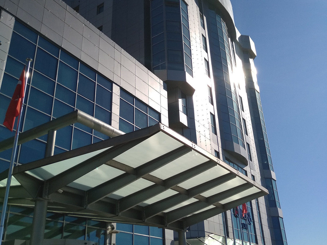 Dedeman Oskemen Tavros Hotel主图