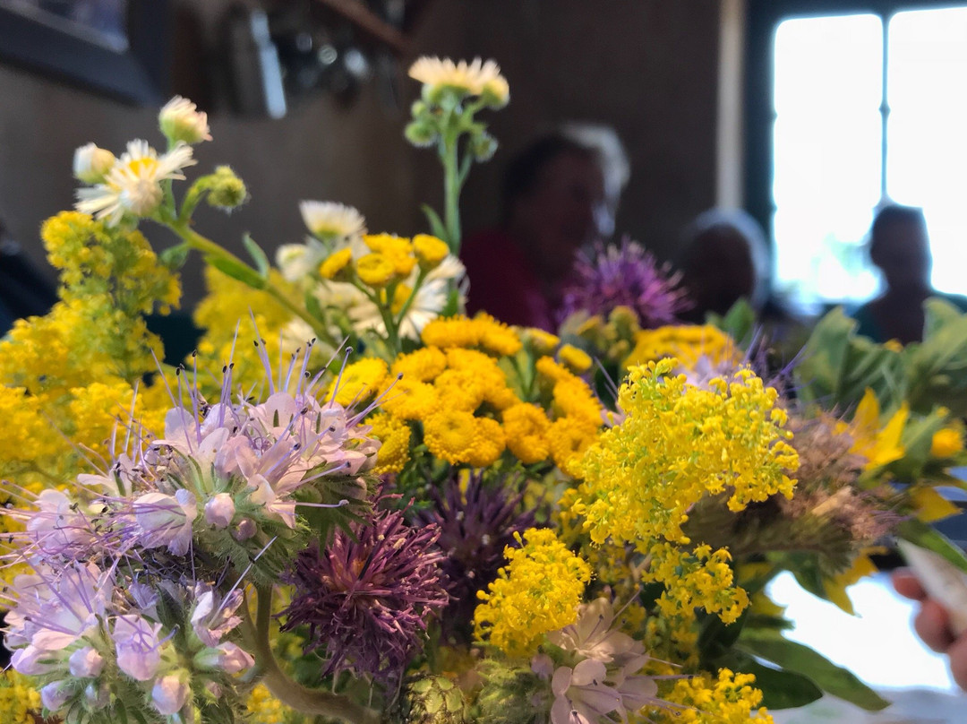 Schullwitz餐馆和美食-Windmullerhaus Zaschendorf