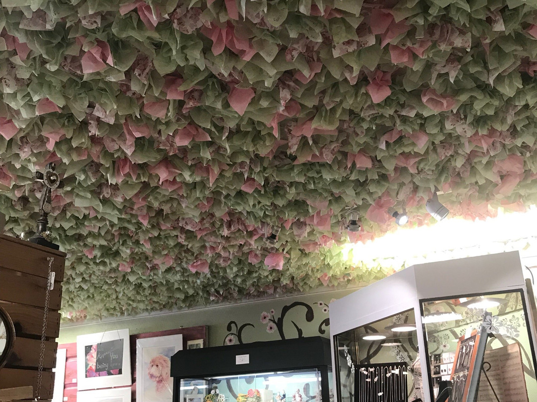 Under the Cherry Blossoms-Mount Dora必去景点