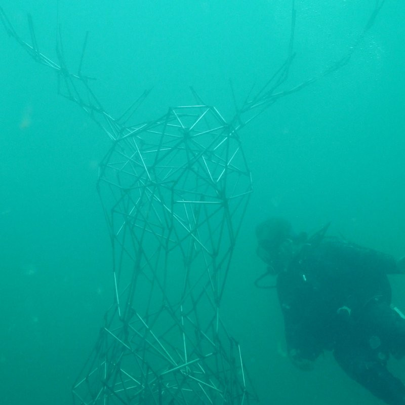 The Underwater Museum of Art景点图片