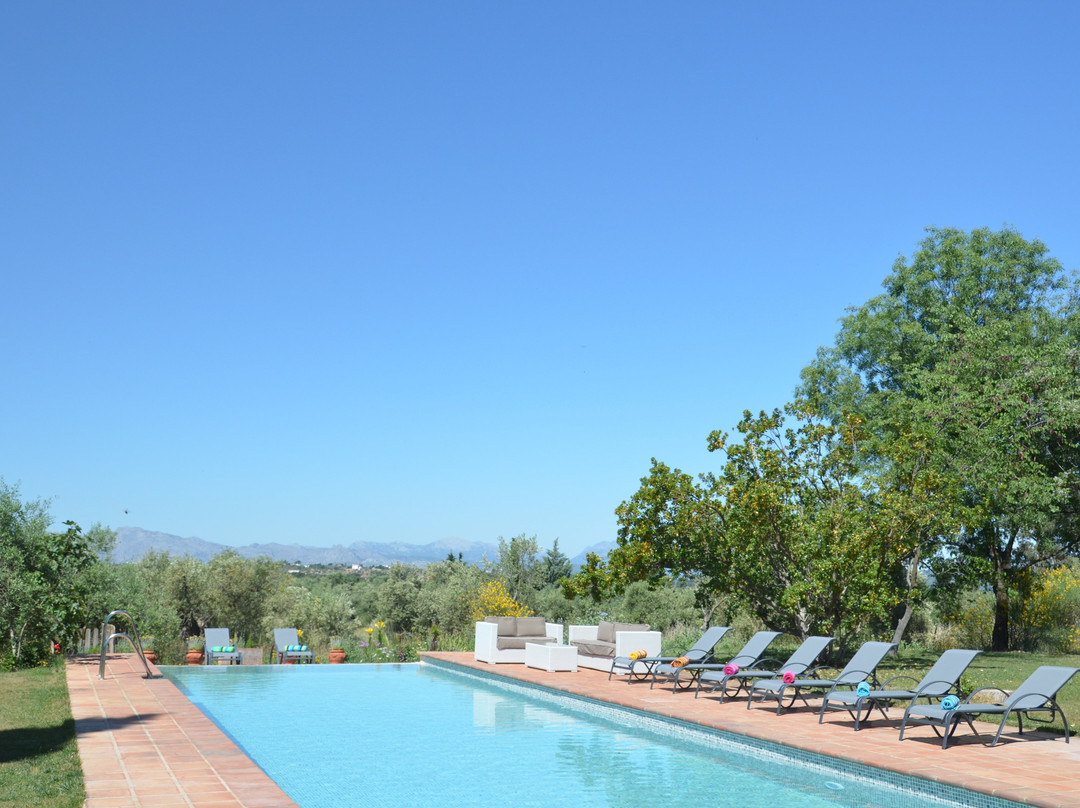 La Guzmana de Ronda主图