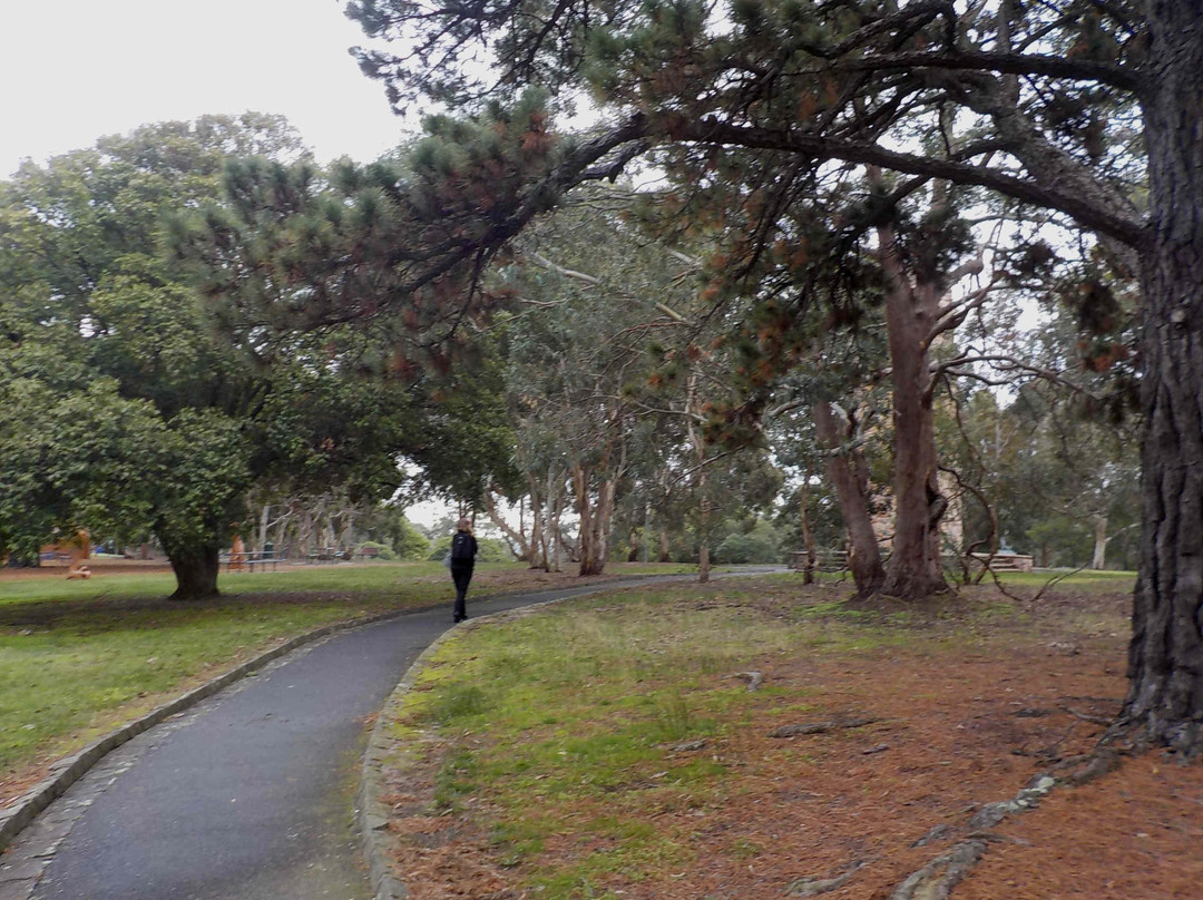 Beckett Park景点图片