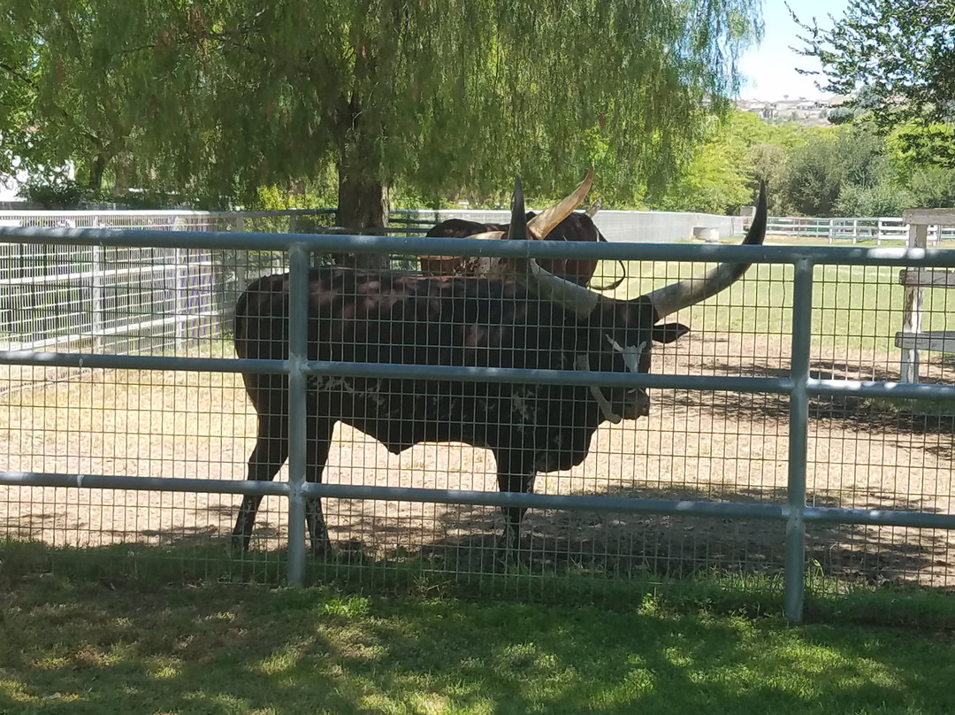 Best Coast Tours - Temecula-特曼库拉必去景点