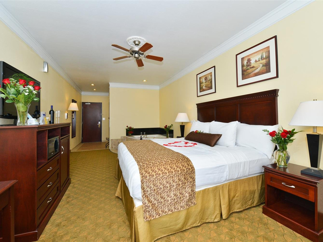 Best Western Lone Star Inn主图