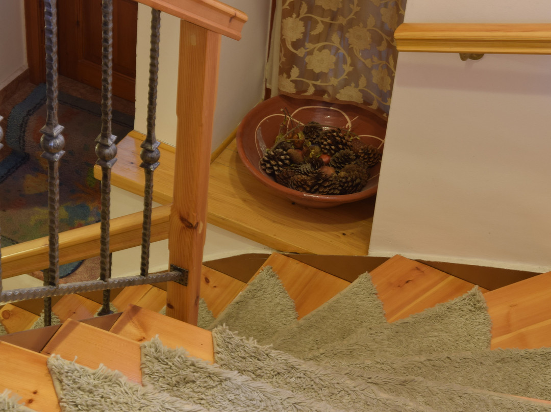 Hotel Parnassos主图