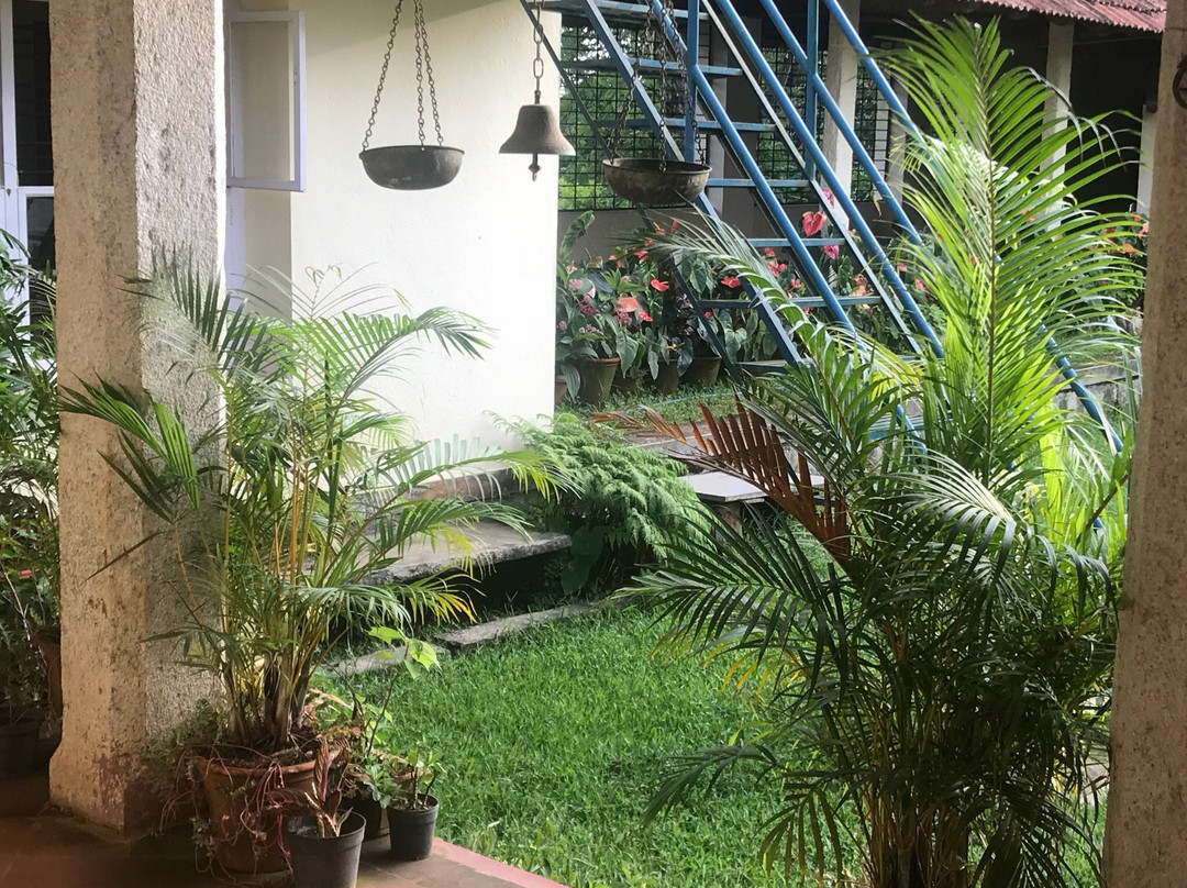 Gabadi River Edge主图