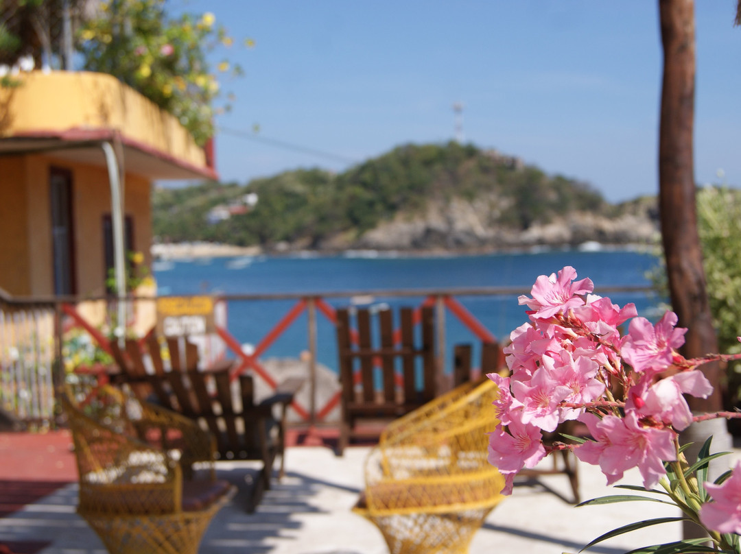 La Cabaña de Puerto Angel主图