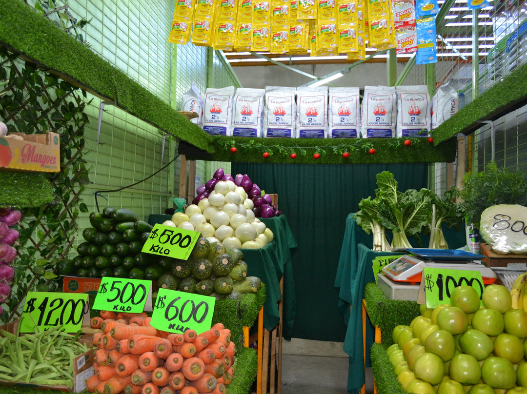 Terminal Agropecuario de Iquique - Region de Tarapaca
