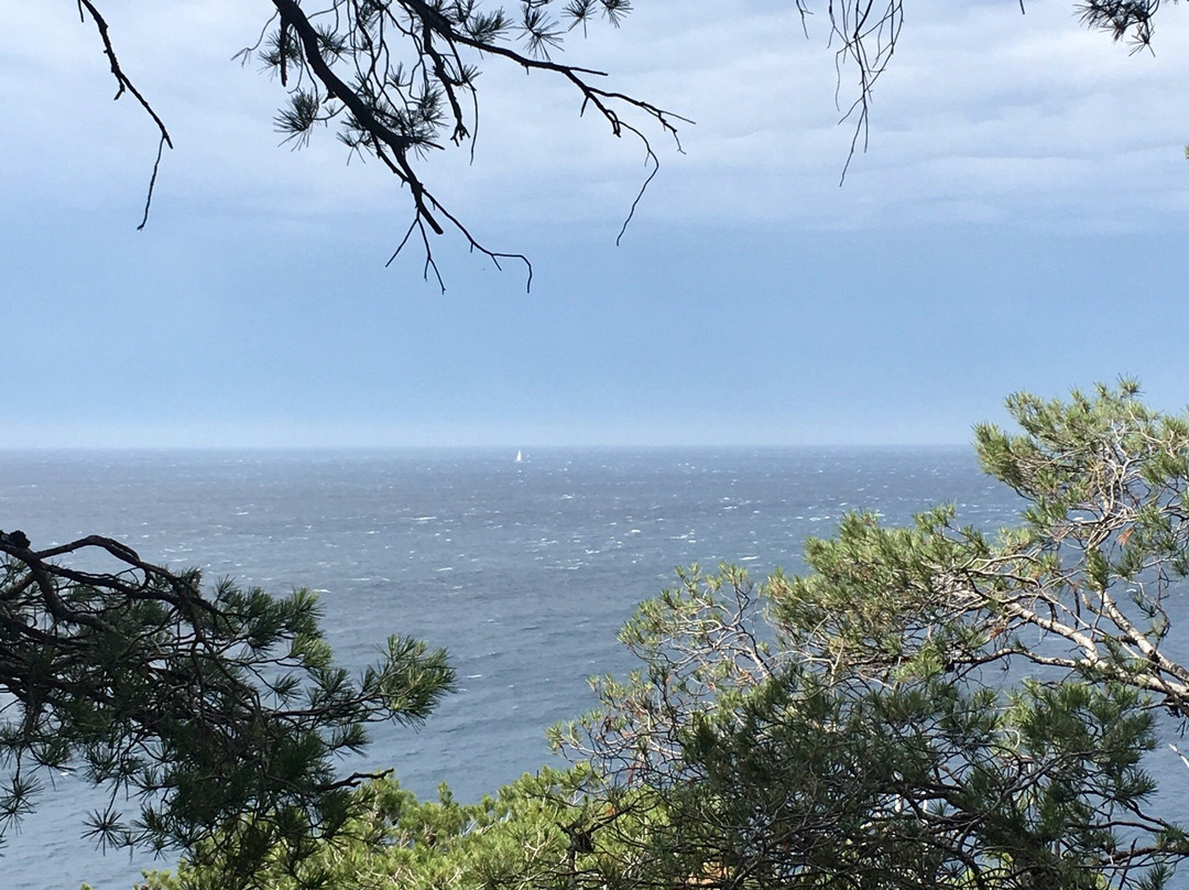 Calanque la Galere景点图片