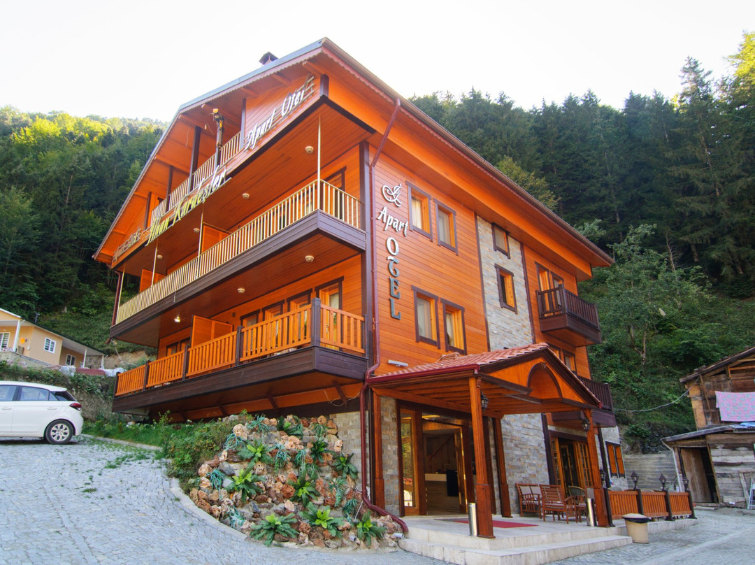 Bayburt酒店住宿-Ilhan Kardesler Apart Hotel