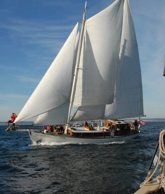 Schooner SUVA景点图片