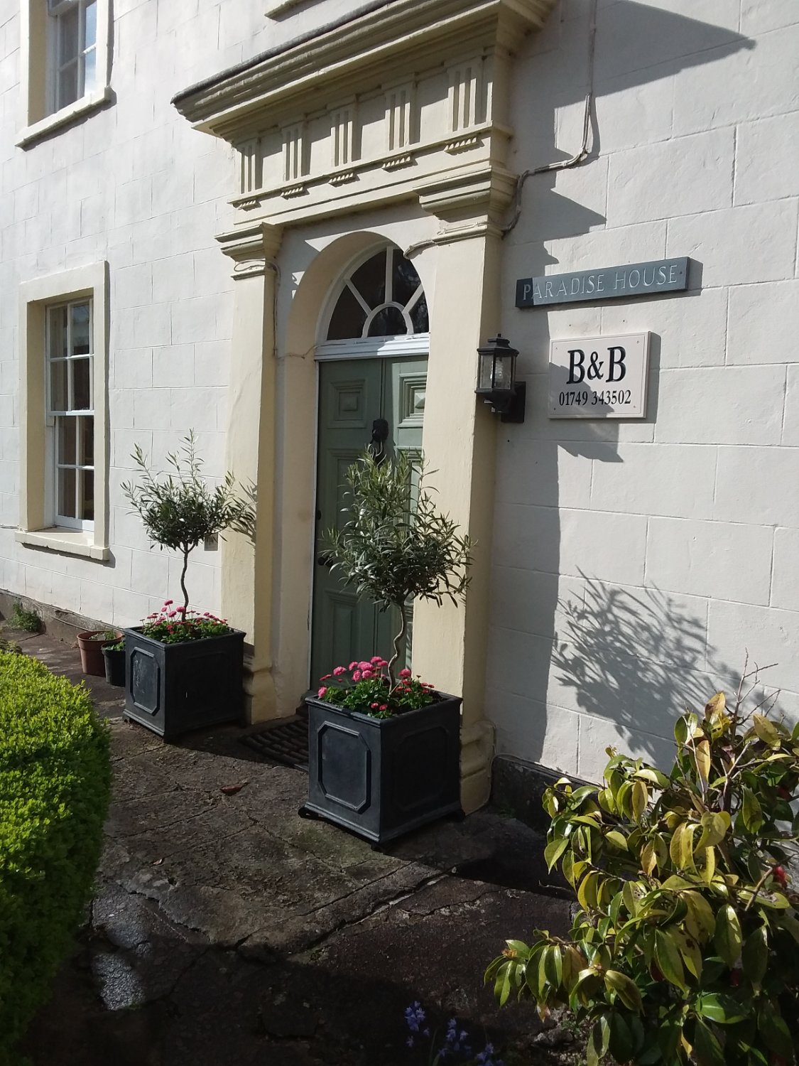 Paradise House B & B-官方