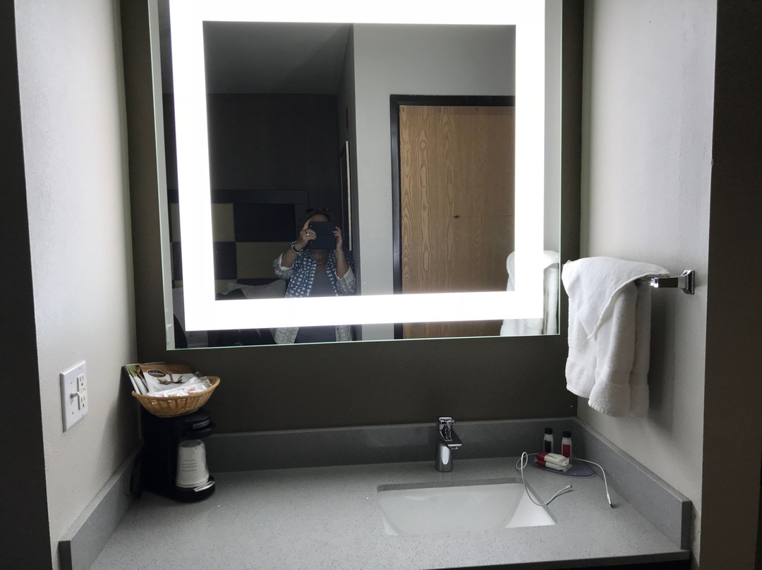 雷丁贝蒙特旅馆套房酒店主图