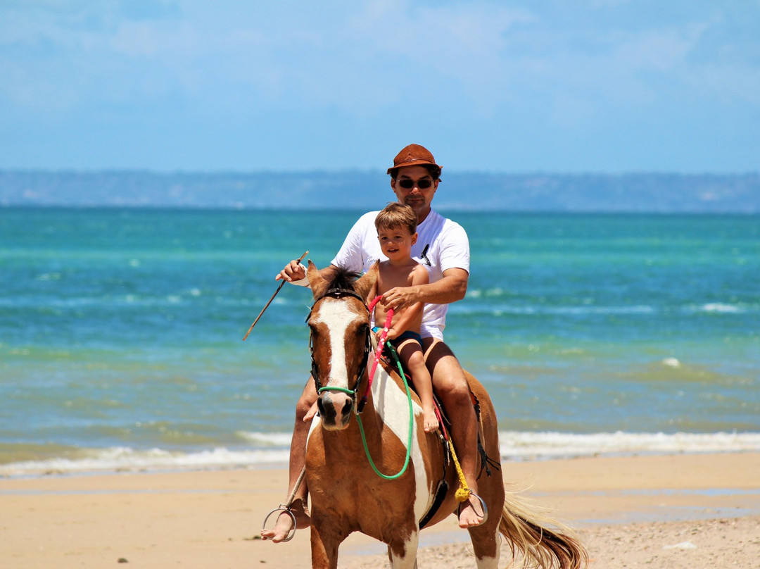 Itaparica Praia Hotel主图