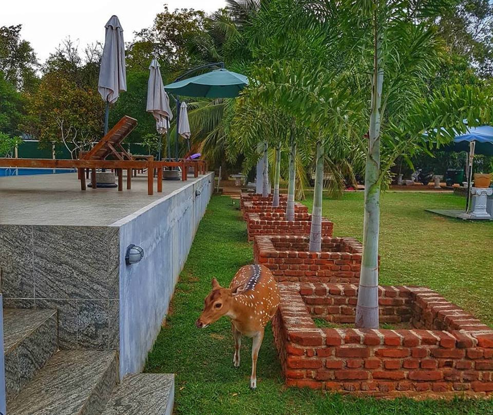 Saji - Sami Hotel主图