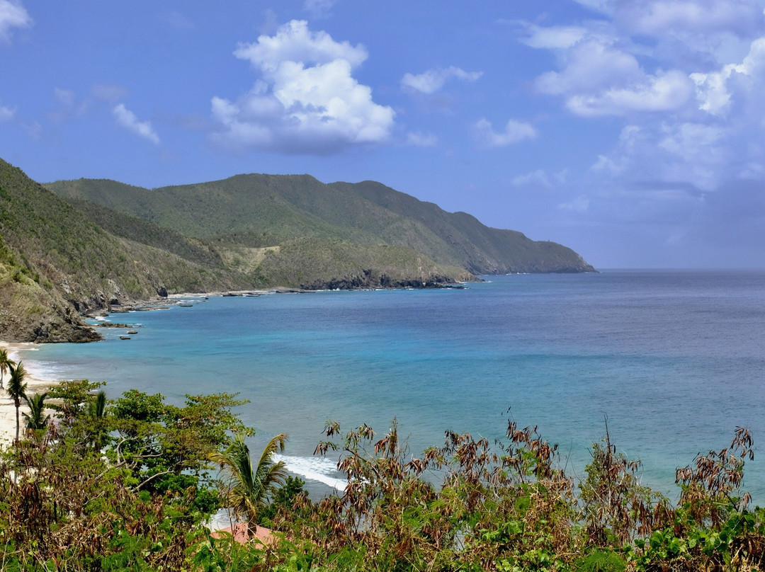 Davis Bay-圣克鲁斯必去景点