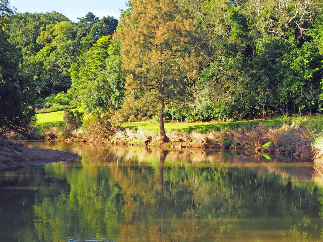 Bonadio's Mabi Wildlife Reserve景点图片