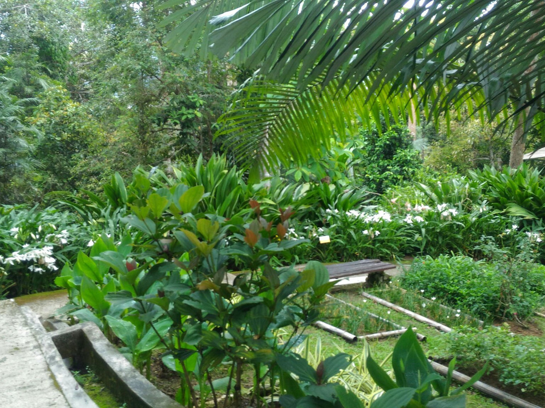 Botanical Garden-文冬必去景点