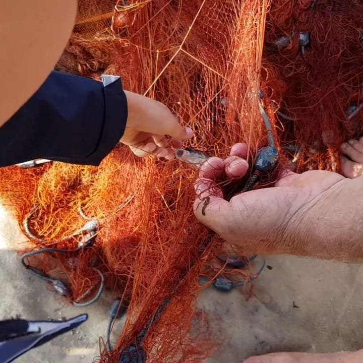 Pescaturismo I Mancuso-墨西拿必去景点