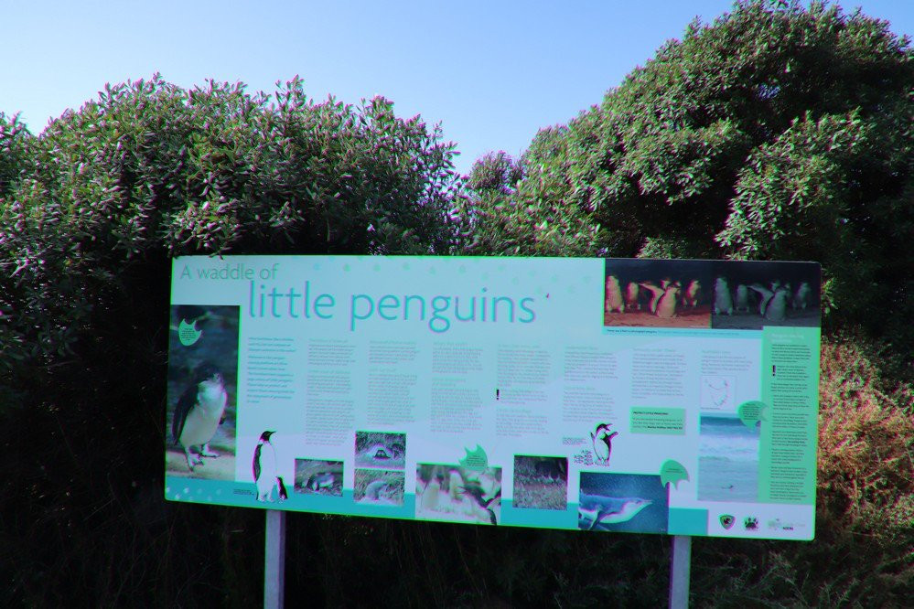 Lillico Beach Conservation Area-Lillico必去景点