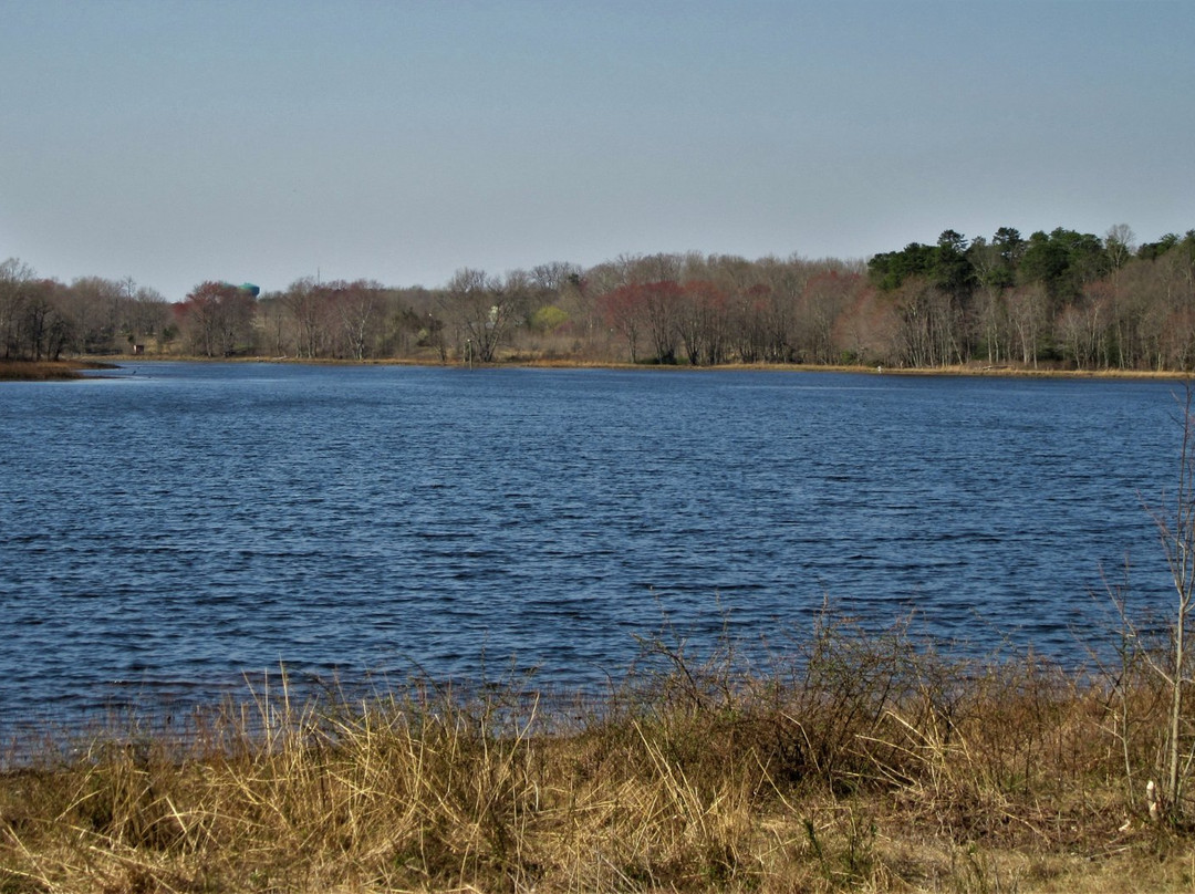 Patuxent Research Refuge, South Tract-Laurel必去景点