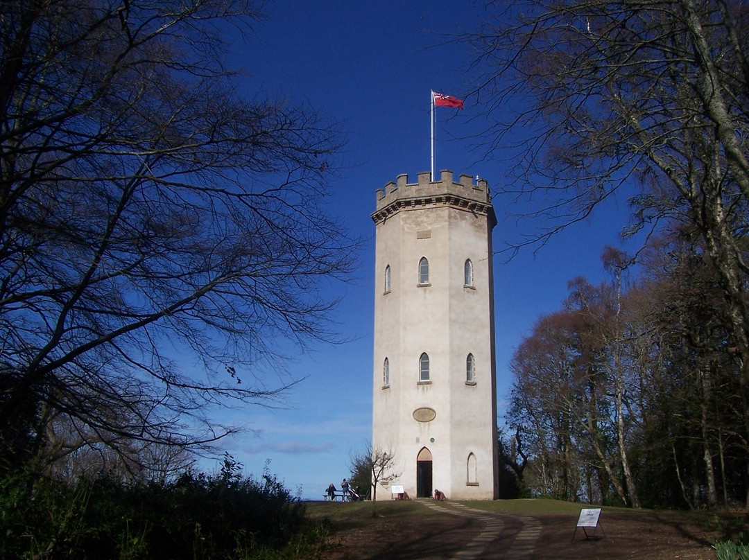 The Nelson Tower景点图片