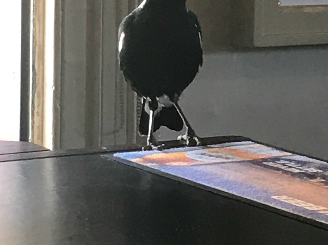 Hawker Hotel Motel主图