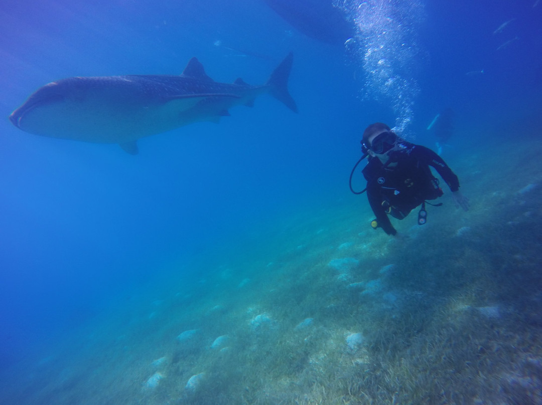 Deep Zone Dive Center景点图片