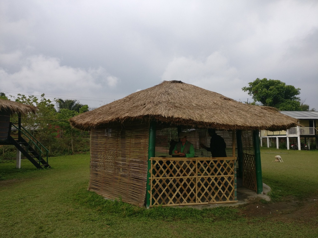 Kohuwa Eco Camp