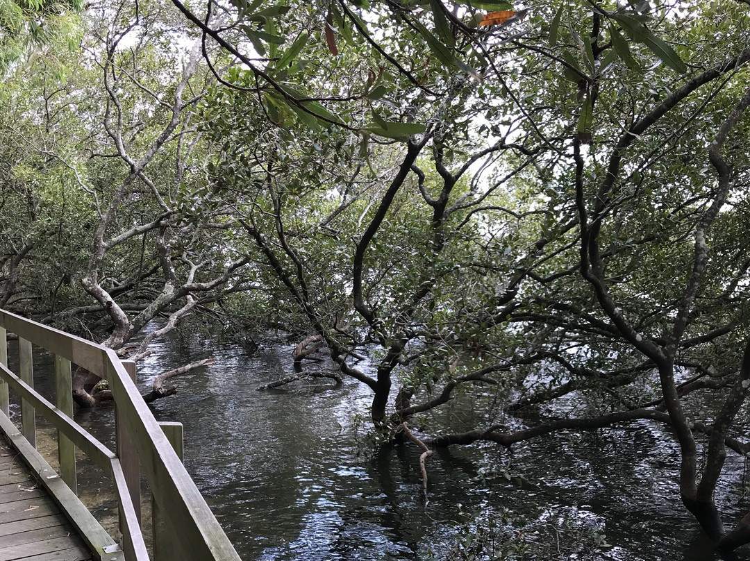 柠檬树路旅游攻略图片