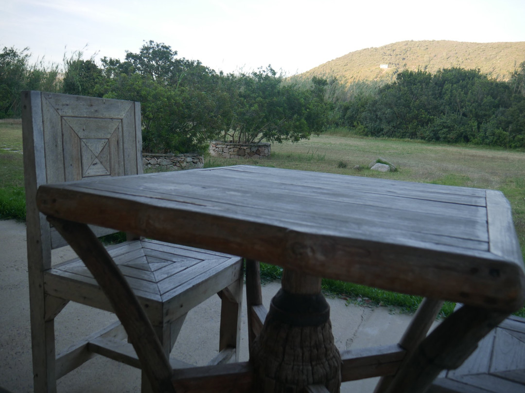 Agrituerra (ex Sa Tuerra)主图