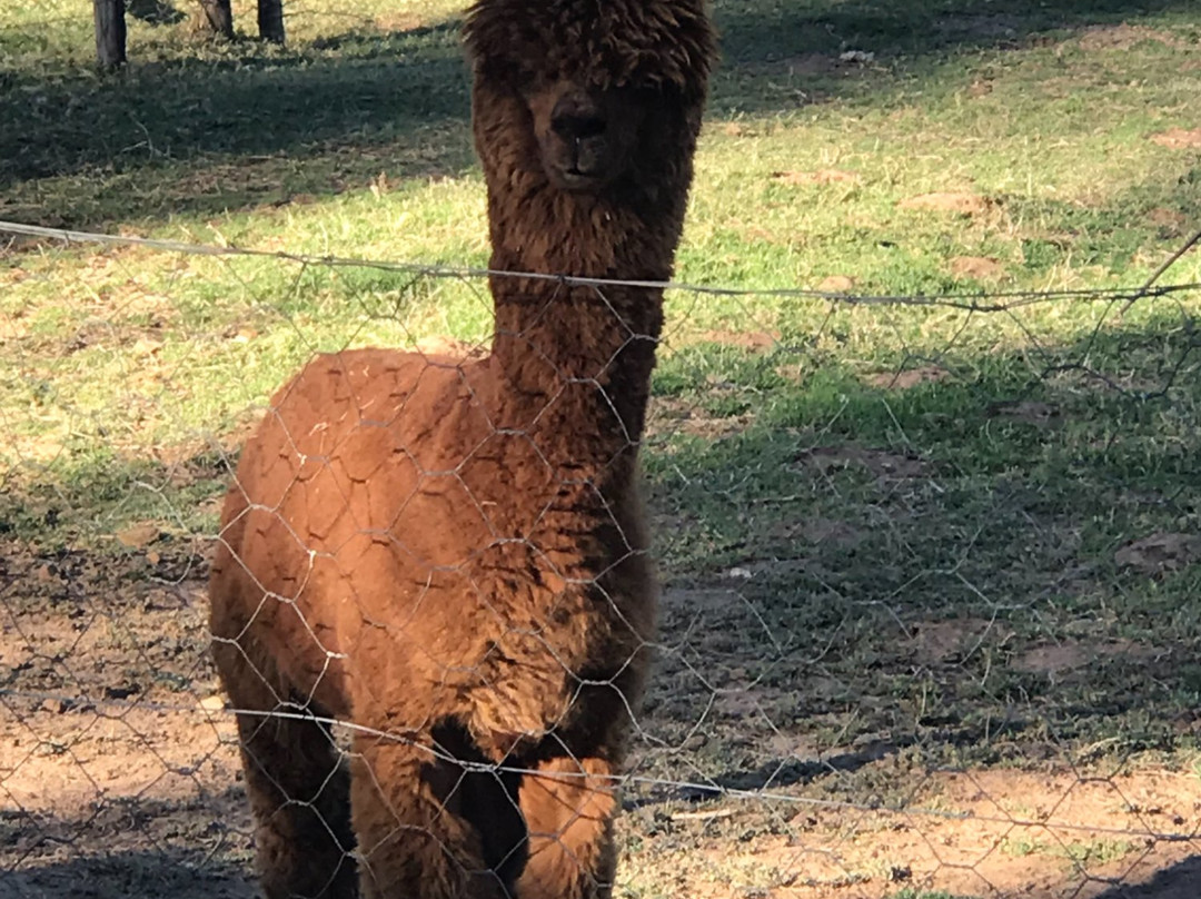 Glen Eden Farm主图