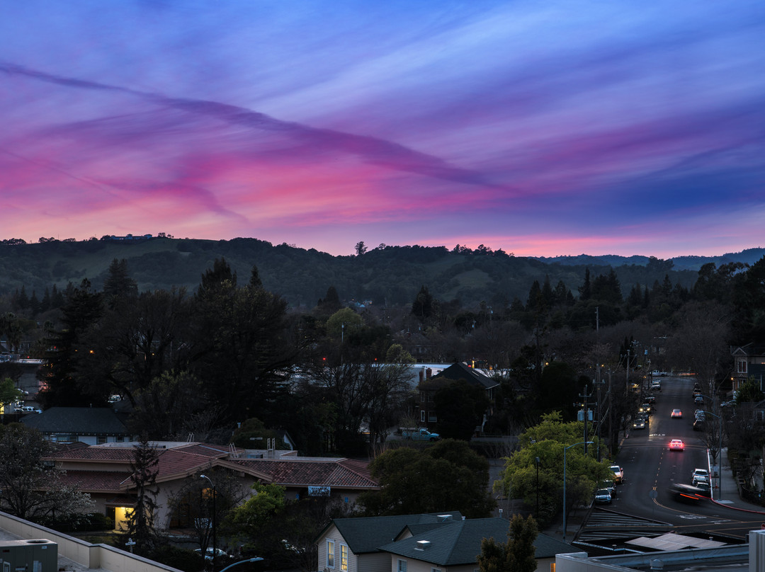 Sky & Vine Rooftop Bar
