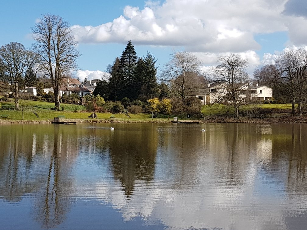 Dungannon Park景点图片