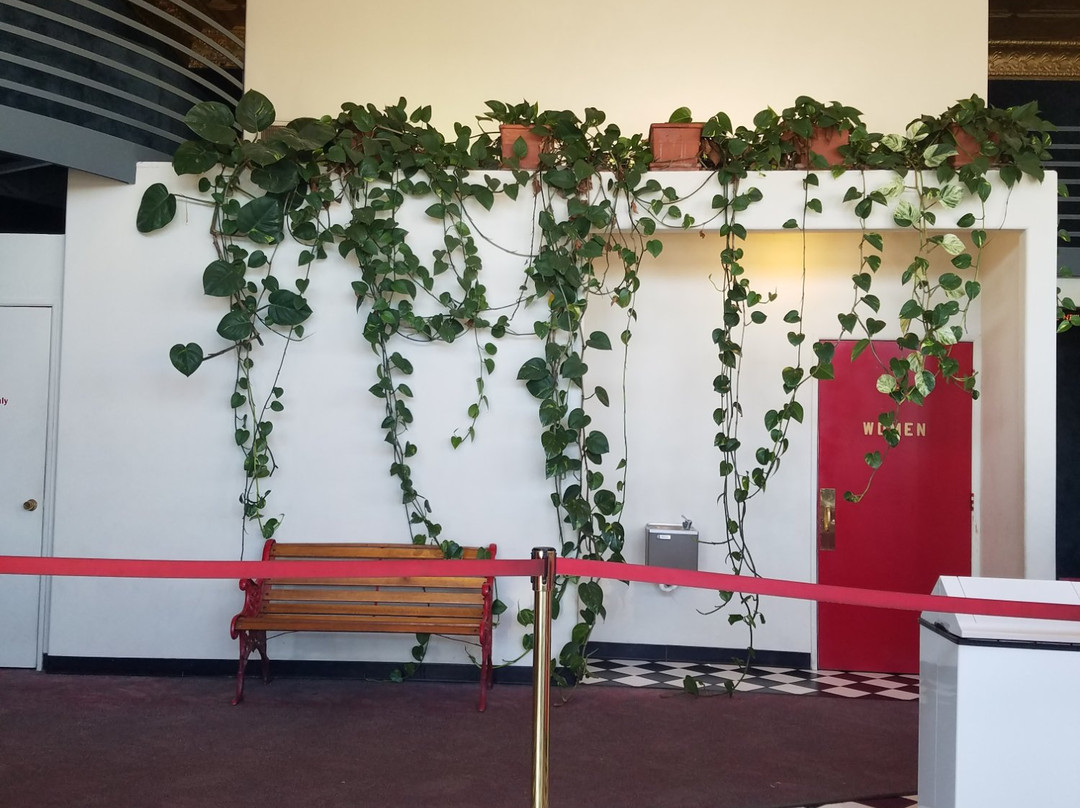 Liberty Theatre-Carnegie必去景点