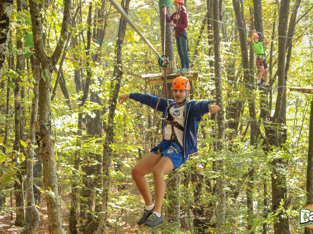 Dajti Adventure Park-地拉那必去景点