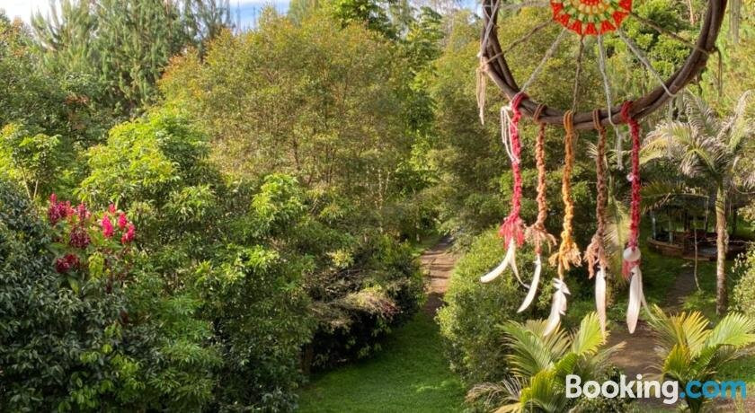 Natural Mystic主图