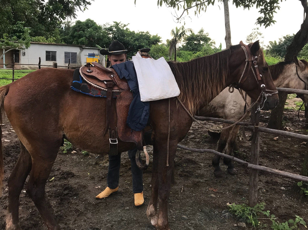 Cuba Horseback Rides-Guardalavaca必去景点