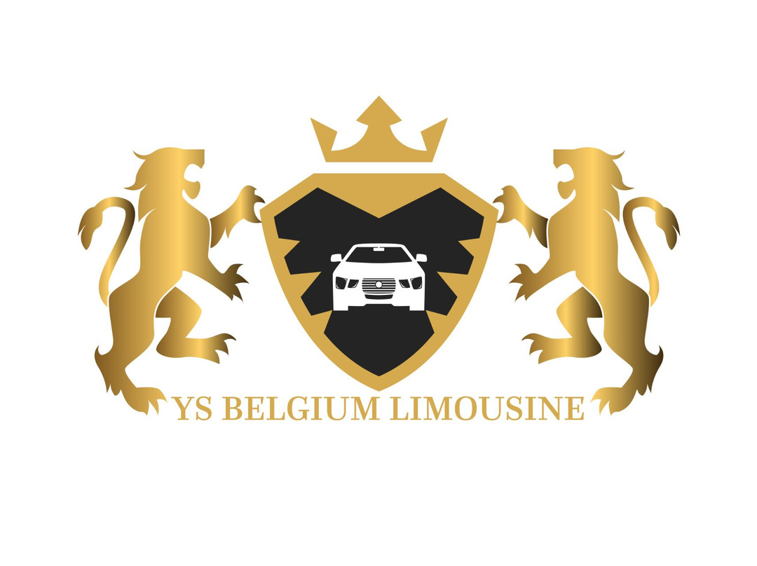 Ys Belgium Limousine & Private Guided Tours-布鲁塞尔必去景点