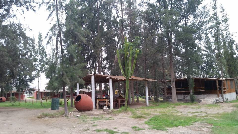 Majes旅游攻略图片